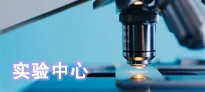 实验中心